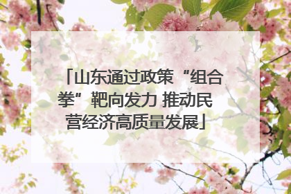 山东通过政策“组合拳”靶向发力 推动民营经济高质量发展