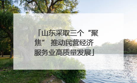 山东采取三个“聚焦” 推动民营经济服务业高质量发展