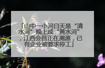 山中一小河白天是“清水河”晚上成“黄水河”，江西会昌正在溯源，已有企业被要求停工