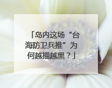 岛内这场“台海防卫兵推”为何越描越黑？