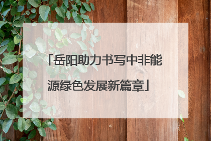 岳阳助力书写中非能源绿色发展新篇章