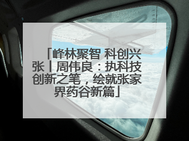 峰林聚智 科创兴张丨周伟良：执科技创新之笔，绘就张家界药谷新篇