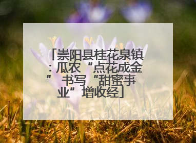 崇阳县桂花泉镇：瓜农“点花成金” 书写“甜蜜事业”增收经