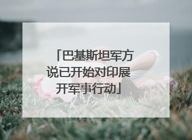 巴基斯坦军方说已开始对印展开军事行动