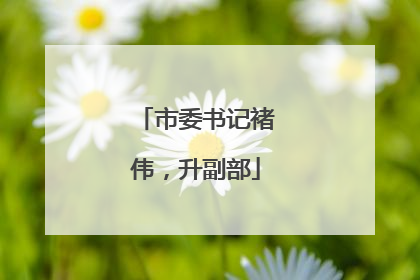 市委书记褚伟，升副部