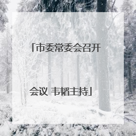 市委常委会召开会议 韦韬主持