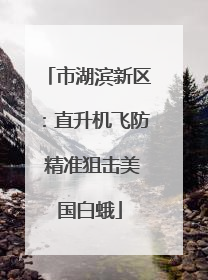 市湖滨新区：直升机飞防 精准狙击美国白蛾