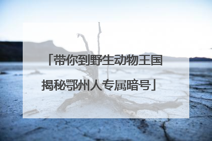 带你到野生动物王国揭秘鄂州人专属暗号