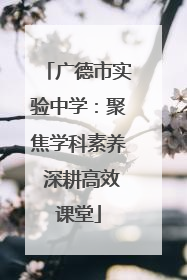 广德市实验中学：聚焦学科素养 深耕高效课堂