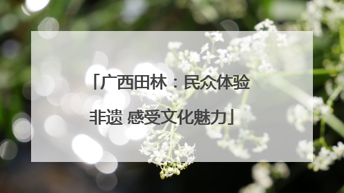 广西田林：民众体验非遗 感受文化魅力