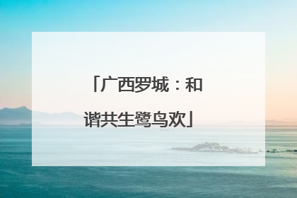 广西罗城：和谐共生鹭鸟欢