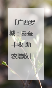 广西罗城：桑蚕丰收 助农增收