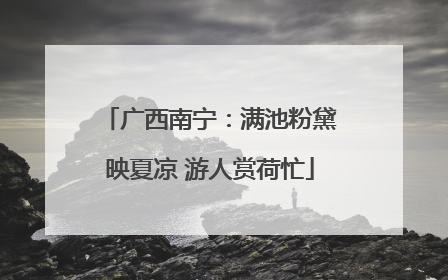 广西南宁：满池粉黛映夏凉 游人赏荷忙