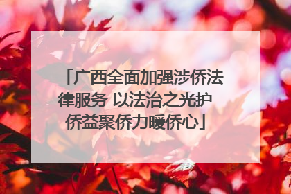 广西全面加强涉侨法律服务 以法治之光护侨益聚侨力暖侨心