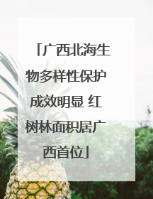 广西北海生物多样性保护成效明显 红树林面积居广西首位