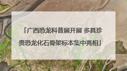 广西恐龙科普展开展 多具珍贵恐龙化石骨架标本集中亮相