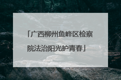广西柳州鱼峰区检察院法治阳光护青春