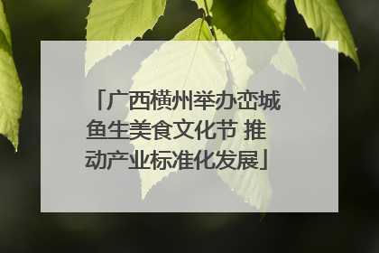 广西横州举办峦城鱼生美食文化节 推动产业标准化发展