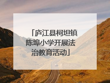 庐江县柯坦镇陈埠小学开展法治教育活动