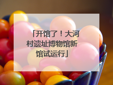 开馆了！大河村遗址博物馆新馆试运行