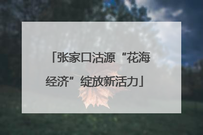 张家口沽源“花海经济”绽放新活力