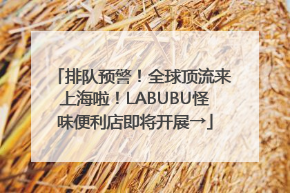 排队预警！全球顶流来上海啦！LABUBU怪味便利店即将开展→