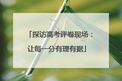 探访高考评卷现场：让每一分有理有据