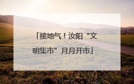 接地气！汝阳“文明集市”月月开市