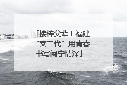 接棒父辈！福建“支二代”用青春书写闽宁情深