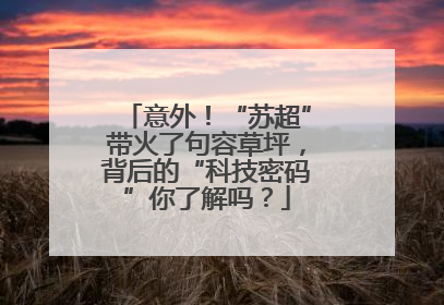 意外！“苏超”带火了句容草坪，背后的“科技密码”你了解吗？