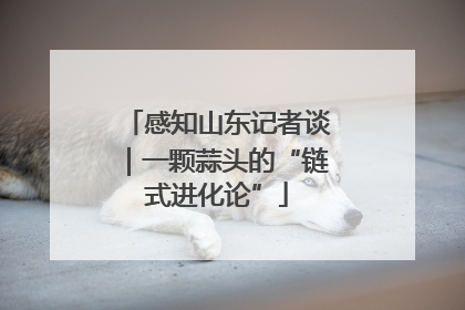 感知山东记者谈｜一颗蒜头的“链式进化论”