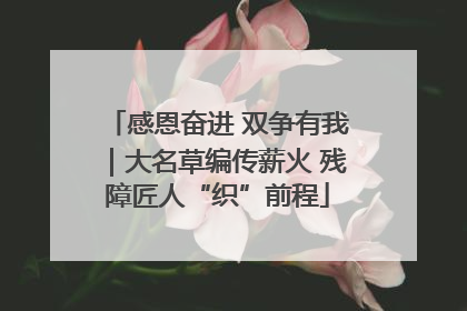 感恩奋进 双争有我｜大名草编传薪火 残障匠人“织”前程