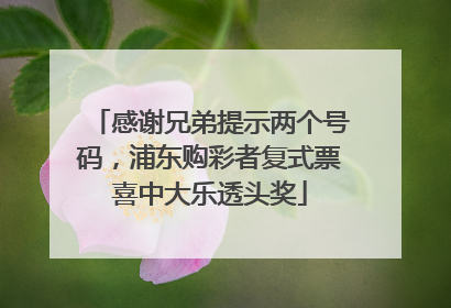 感谢兄弟提示两个号码，浦东购彩者复式票喜中大乐透头奖