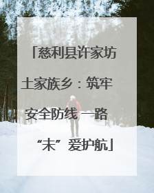 慈利县许家坊土家族乡：筑牢安全防线 一路“未”爱护航