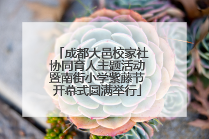 成都大邑校家社协同育人主题活动暨南街小学紫藤节开幕式圆满举行