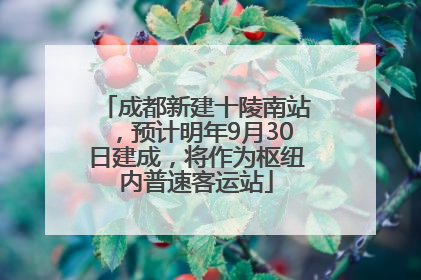 成都新建十陵南站，预计明年9月30日建成，将作为枢纽内普速客运站