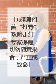 成都野生菌“打野”攻略走红 专家提醒：切勿随意采食，严重或致命