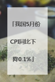 我国5月份CPI同比下降0.1%