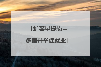 扩容量提质量 多措并举促就业