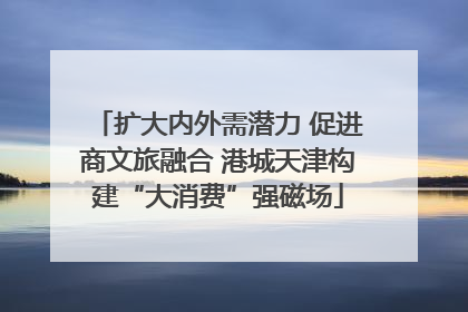 扩大内外需潜力 促进商文旅融合 港城天津构建“大消费”强磁场