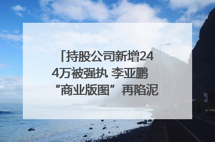 持股公司新增244万被强执 李亚鹏“商业版图”再陷泥潭？｜科技观察
