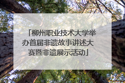 柳州职业技术大学举办首届非遗故事讲述大赛暨非遗展示活动