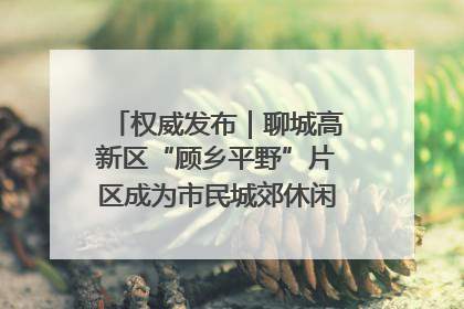 权威发布｜聊城高新区“顾乡平野”片区成为市民城郊休闲全新目的地