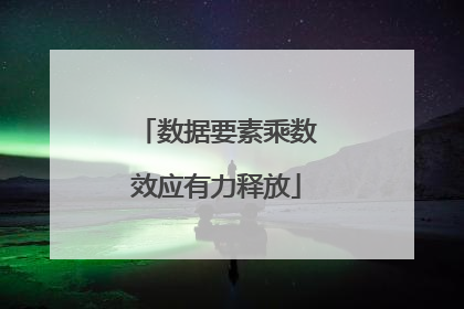数据要素乘数效应有力释放