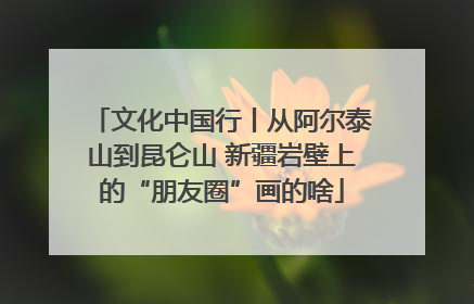 文化中国行丨从阿尔泰山到昆仑山 新疆岩壁上的“朋友圈”画的啥