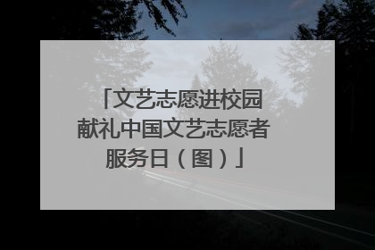 文艺志愿进校园 献礼中国文艺志愿者服务日（图）