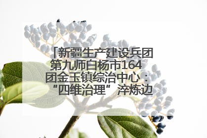 新疆生产建设兵团第九师白杨市164团金玉镇综治中心：“四维治理”淬炼边疆“枫桥样本”
