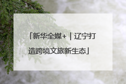 新华全媒+｜辽宁打造跨境文旅新生态