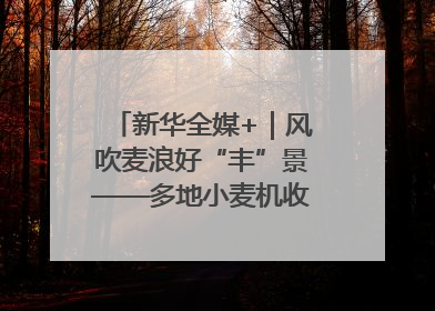新华全媒+｜风吹麦浪好“丰”景——多地小麦机收一线见闻