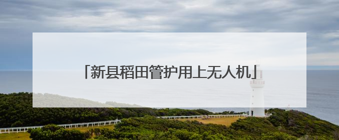 新县稻田管护用上无人机